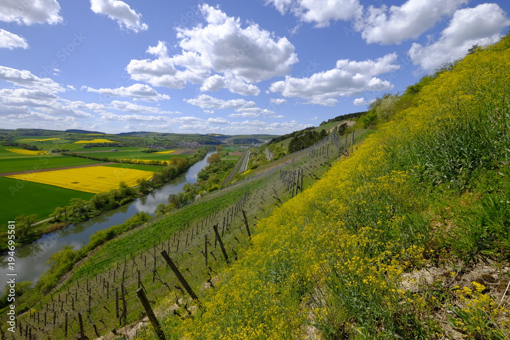 Landschaft und Weinberge bei Stetten, Landkreis Main-Spessart, Unterfranken, Bayern, Deutschland