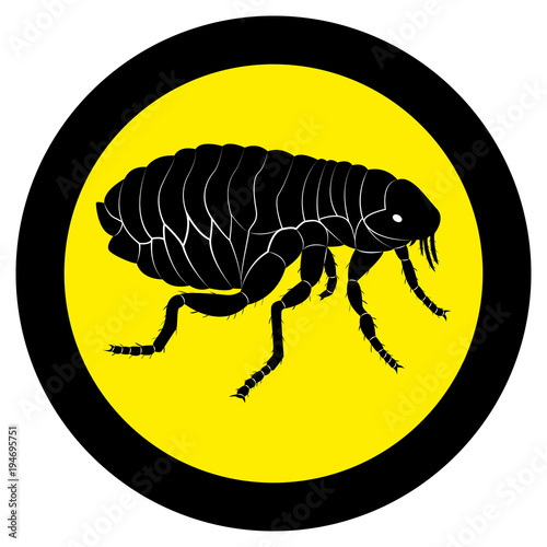 Vector image of flea silhouette