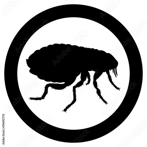 Vector image of flea silhouette