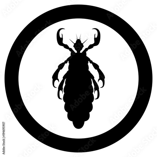 Vector image of silhouette of lice