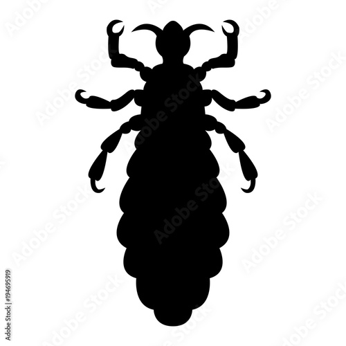Vector image of silhouette of lice