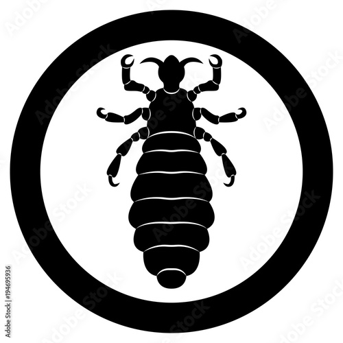 Vector image of silhouette of lice