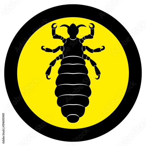 Vector image of silhouette of lice