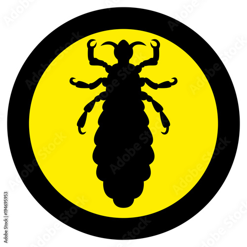 Vector image of silhouette of lice