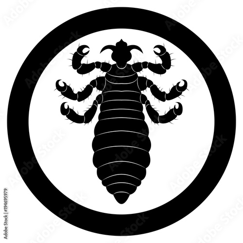 Vector image of silhouette of lice