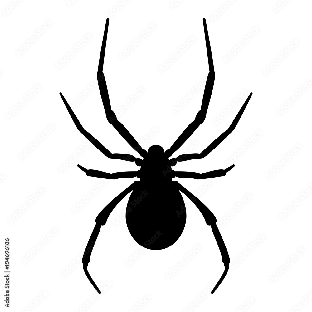 Vector image of spider silhouette
