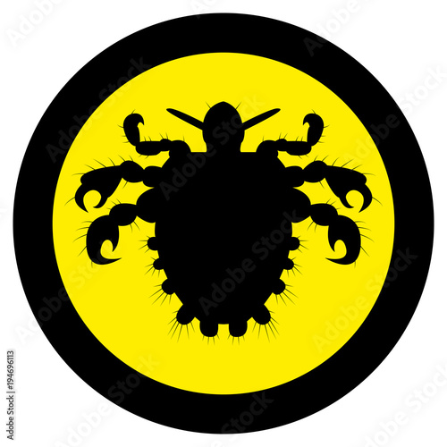 Vector image of silhouette of lice