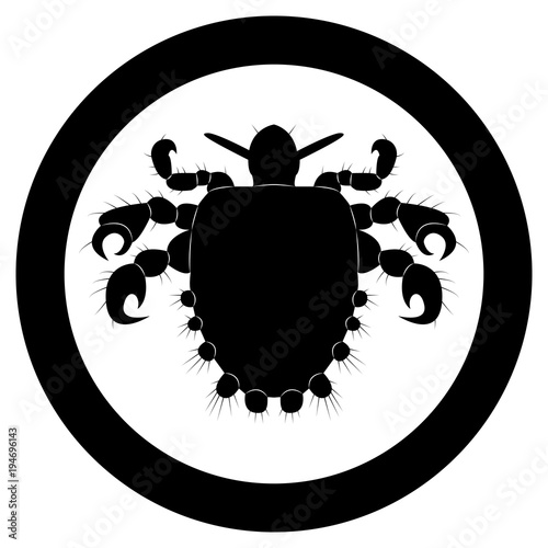 Vector image of silhouette of lice