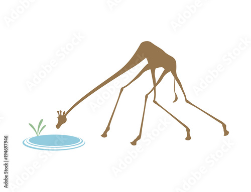 Canvas Print african giraffes illustration