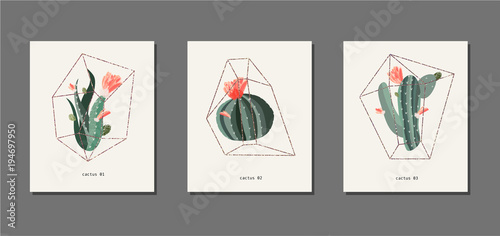Cactus and succulent in a florarium glass vector illustration. Golden frame. Poster or card set. Red flowers. Birthday, anniversary, Valentin’s day, party invitations, wedding, covers.