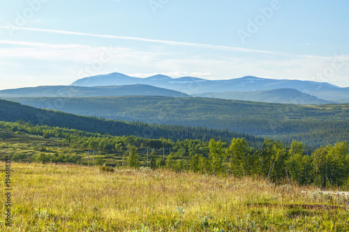Mountain meadow in a woodland landscape