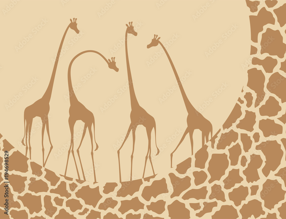 Naklejka premium nice giraffes illustration