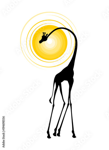 Canvas Print african giraffes illustration