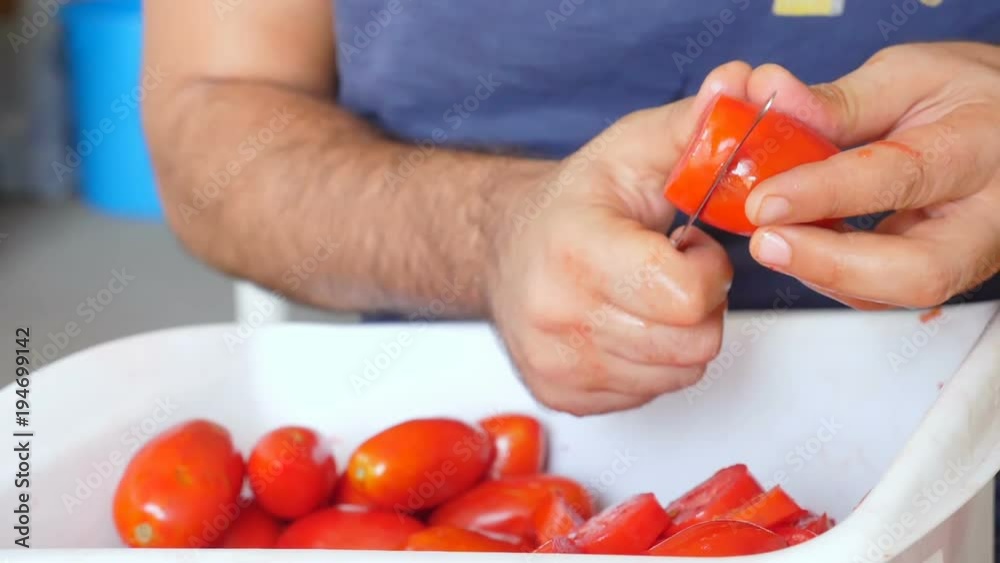 man's hand cutting fresh tomatoes- South of Italy man's hand cutting fresh tomatoes- South of Italy