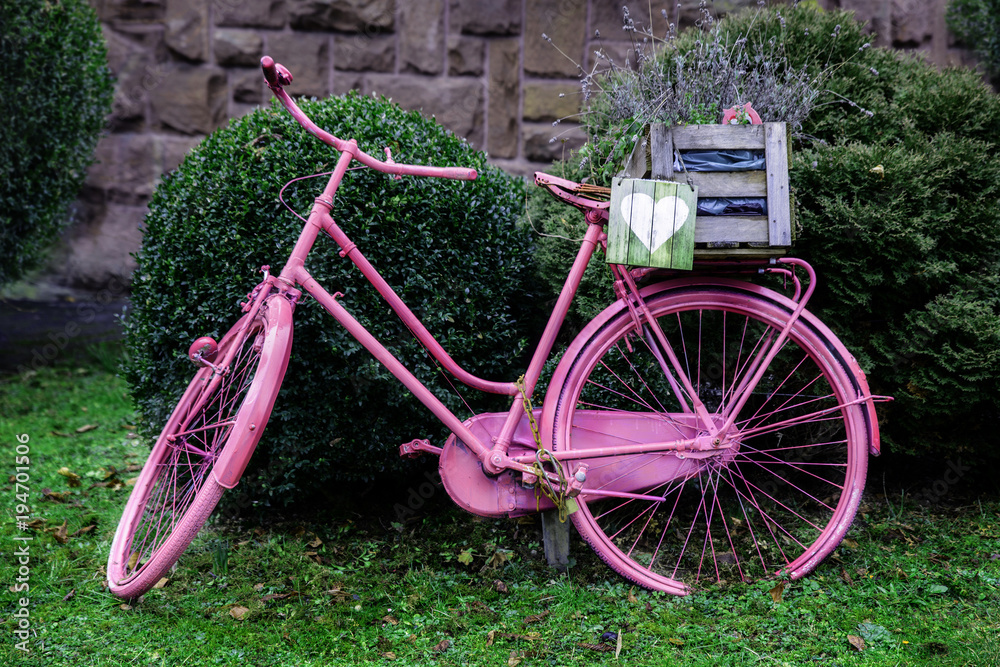 Old-fashioned pink bike with a wooden box with a picture of the heart.