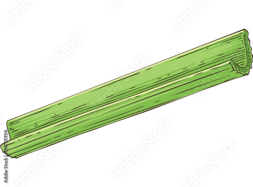 Fresh Green Celery Stick