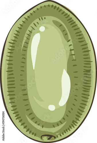 Isolated Green Olive
