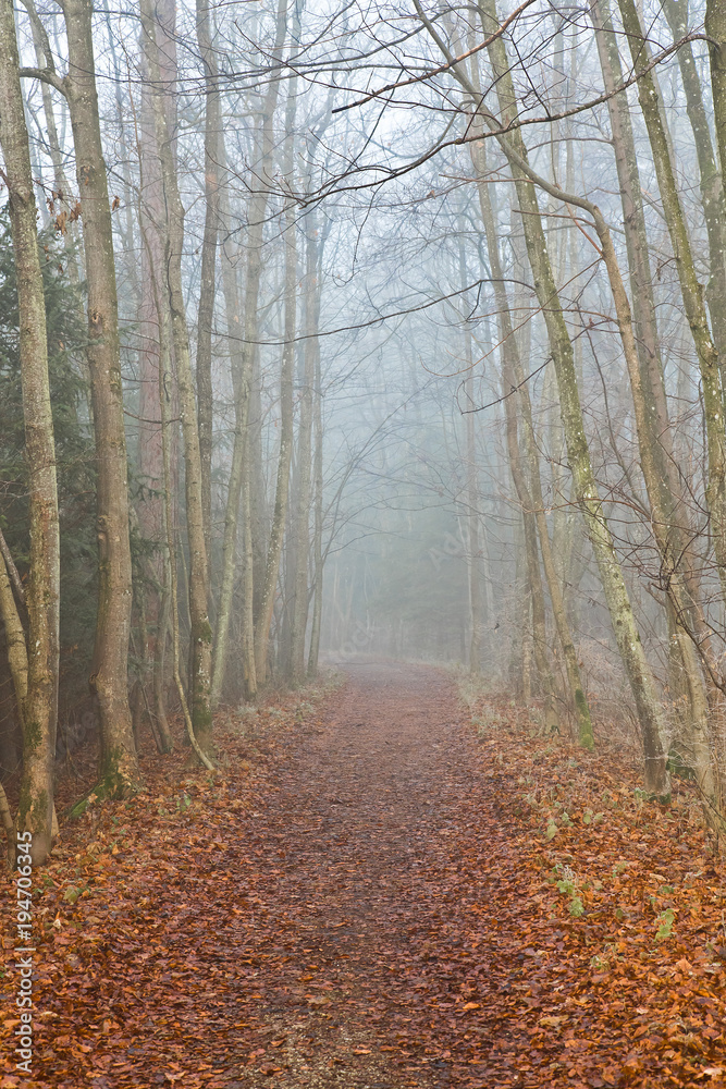 Einsamer Weg im Herbst bei Nebel - Depression