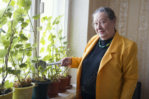 Old lady in the yellow jacket at the window watering houseplant photo