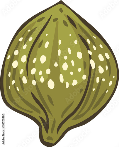Salted and Pickled Caper Bud