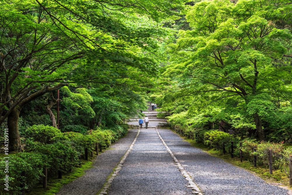 春の京都　二尊院