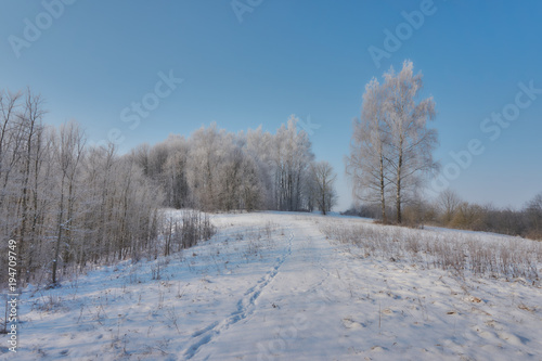 White frost on trees © NetPix