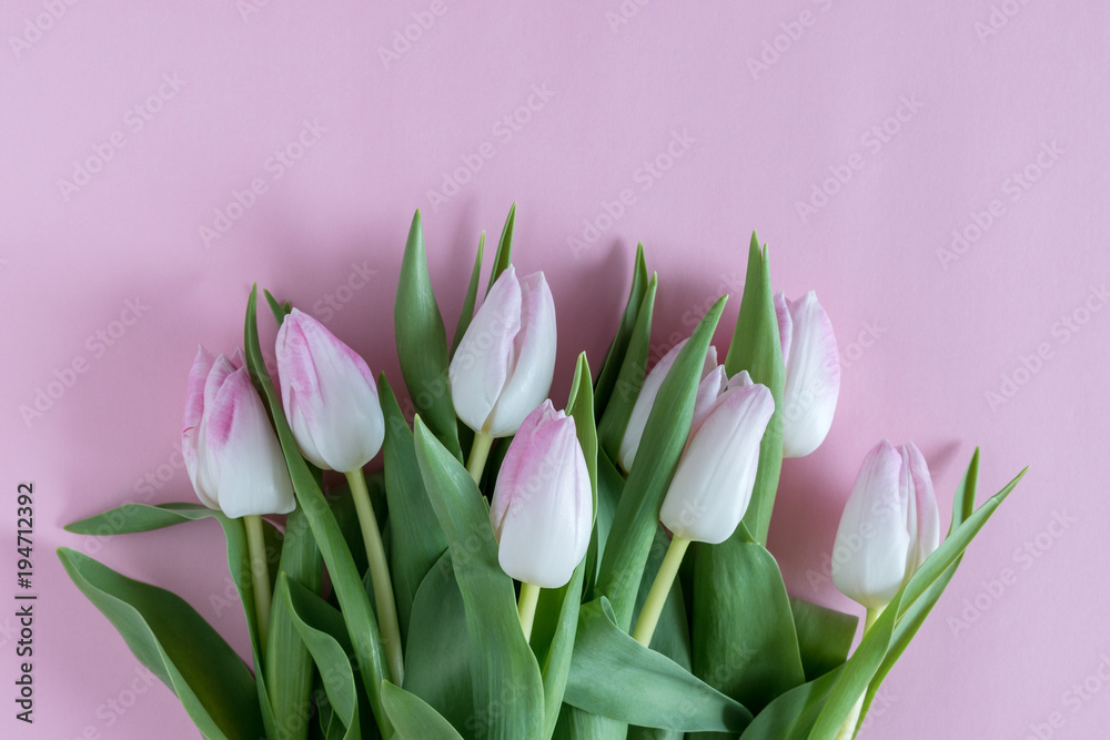 Creative layout of tulips on pink background. Flat lay.