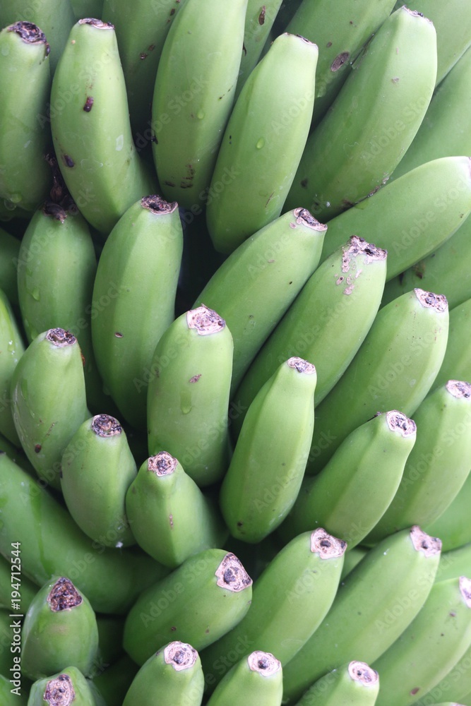 Texture background of green bananas