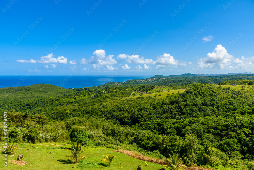 Tropical Rainforest on the Caribbean island of St. Lucia. It is a paradise destination with a white sand beach and turquoiuse sea.