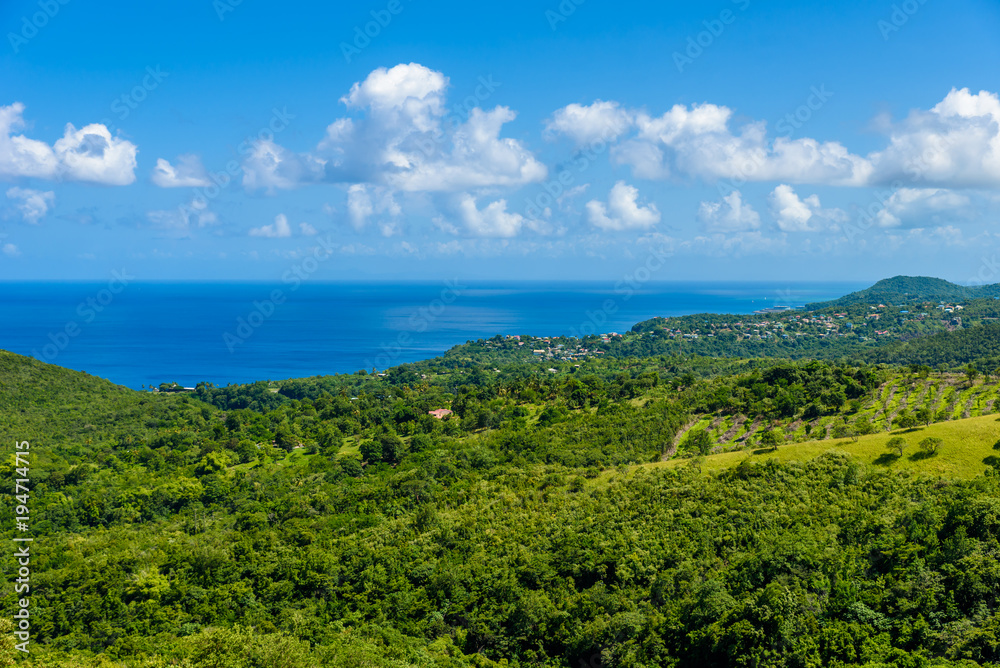 Tropical Rainforest on the Caribbean island of St. Lucia. It is a paradise destination with a white sand beach and turquoiuse sea. Tropical Rainforest on the Caribbean island of St. Lucia. It is a paradise destination with a white sand beach and turquoiuse sea.