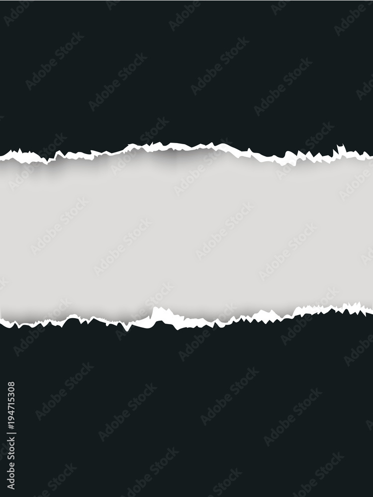Ripped paper vector