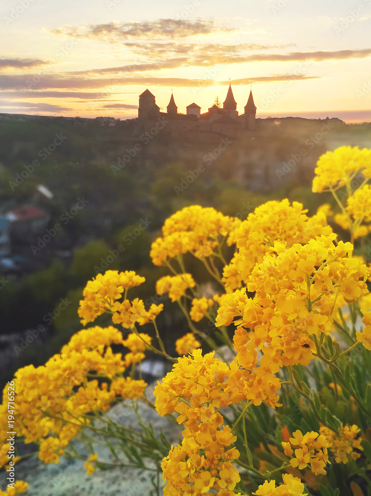 Flowers in Kamyanets-Podilsky