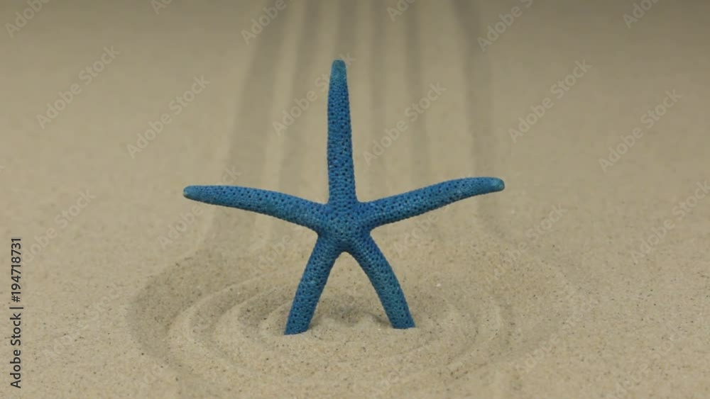 Zoom of a blue starfish standing in a circle of sand. Zoom of a blue starfish standing in a circle of sand.
