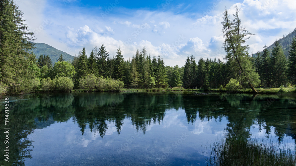 Panoramic view of a pristine, crystal clear, mountain lake with beautiful spruce forest lining its shores