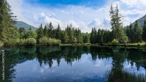 Panoramic view of a pristine  crystal clear  mountain lake with beautiful spruce forest lining its shores