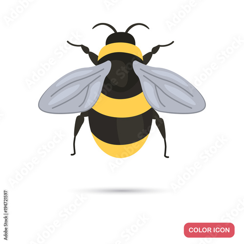 Bumblebee color flat icon