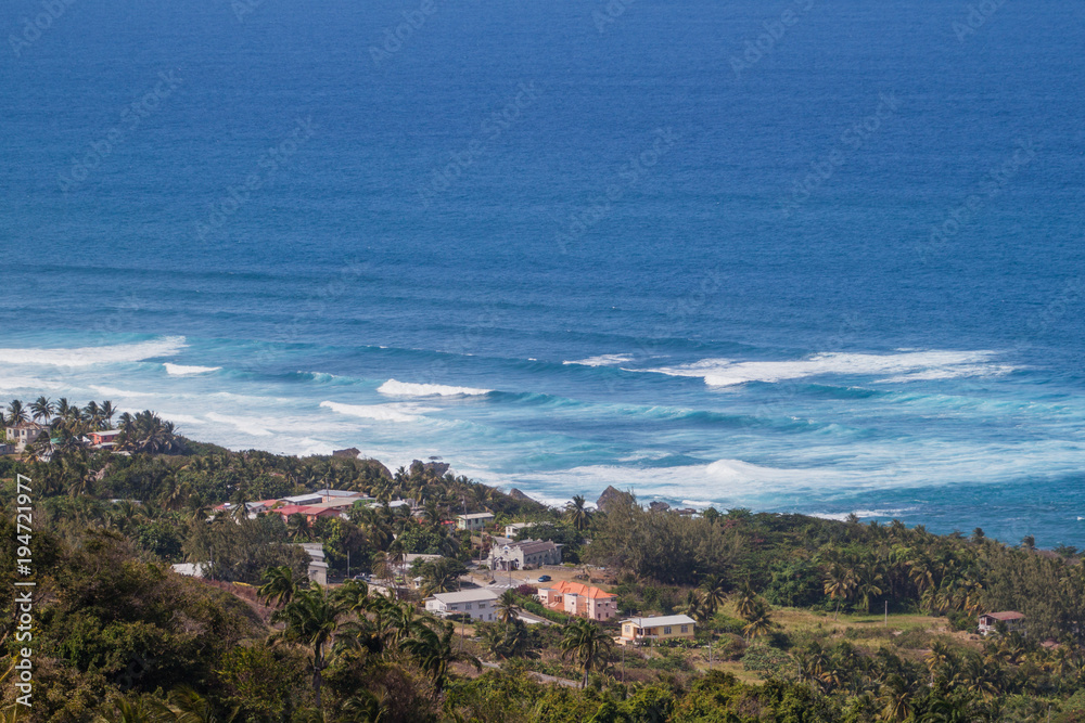 A View of a Barbados Panoramic Landscape with Waves and Palm Trees