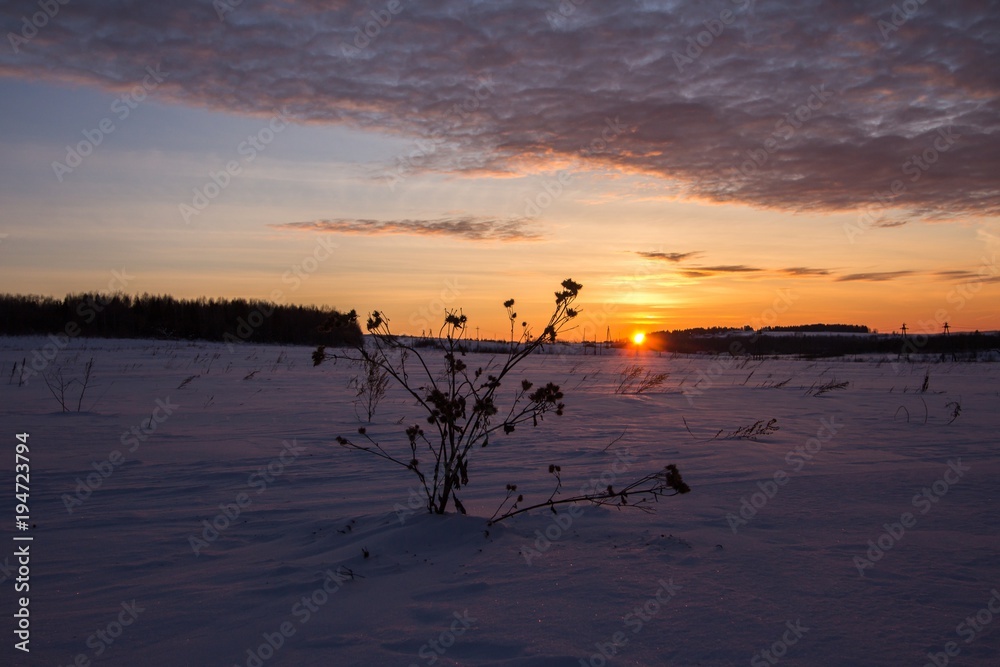 sunset in the winter frosty evening in the Russian outback