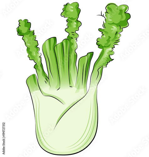 fennel cartoon isolated on white