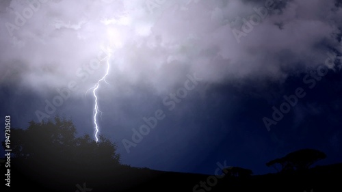 Fork lightning striking down during summer storm, beautiful scene, weather
