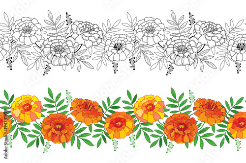 Fototapeta Naklejka Na Ścianę i Meble -  Vector seamless pattern with outline Tagetes or Marigold flower and leaf in orange and black on the white background. Floral horizontal border in contour style with ornate Marigold for summer design.