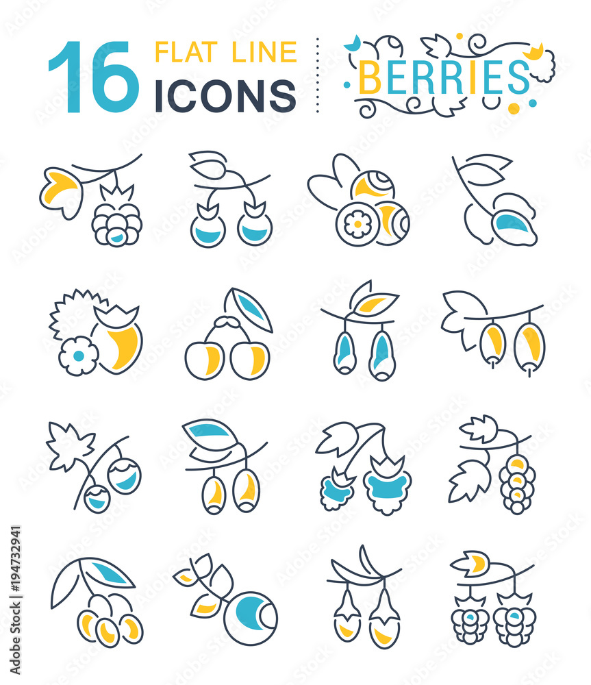 Set Vector Line Icons of Berries.