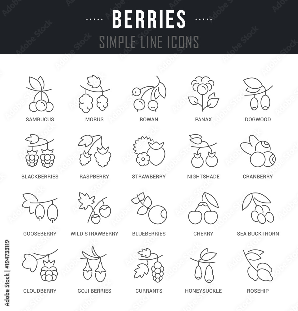 Fototapeta premium Set Vector Line Icons of Berries.