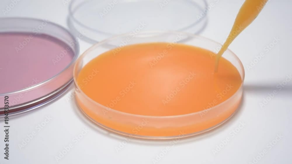 stem cell immunotherapy research DNA gene therapy CRISPR laboratory researcher technician with vials petri dish and test tubes, stem cells concepts stem cell immunotherapy research DNA gene therapy CRISPR laboratory researcher technician with vials petri dish and test tubes, stem cells concepts