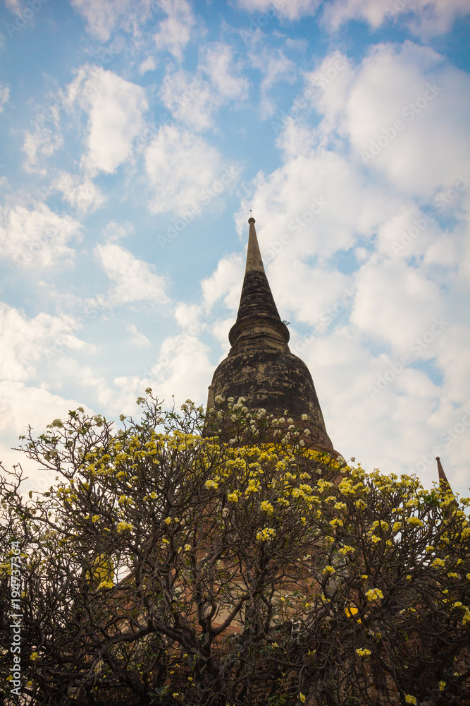 Old Temple and pagoda with evening background at Ayutthaya, Thailand