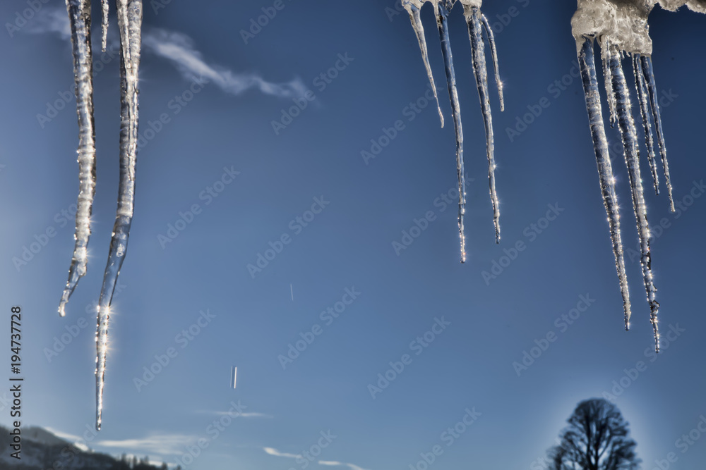 icicles in snowy landscape, Austria icicles in snowy landscape, Austria