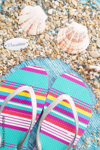 Vacation concept. Seashells and beach slippers on blue wooden background, copy space