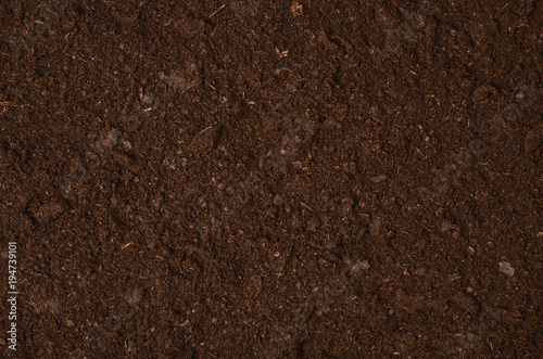Fertile soil texture background seen from above, top view. Gardening or planting concept with copy space. Natural pattern