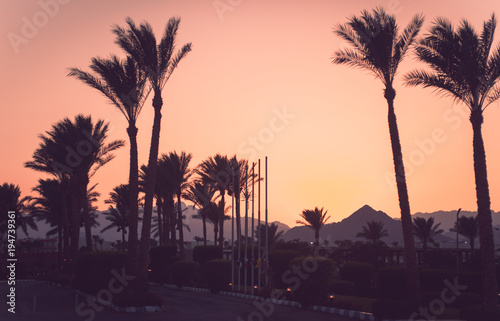 Warm colorful evening sky with palm branch and coast view panorama in Sharm El-Sheikh, Egypt. Taken from resort hotel on first coastline with a lot of lights of the city