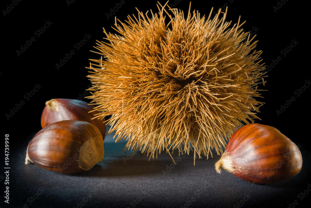 Still life on black background some chestnuts and a chestnut hedgehog. Still life on black background some chestnuts and a chestnut hedgehog.